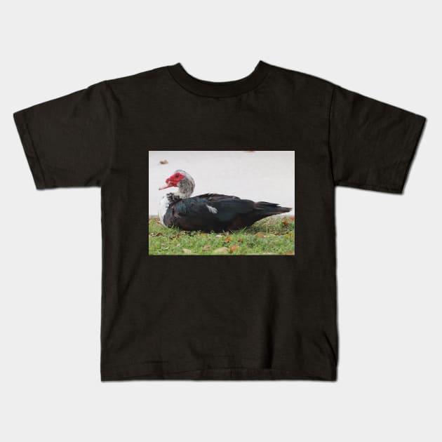 Not The Most Beautiful Duck Kids T-Shirt by Judy Geller